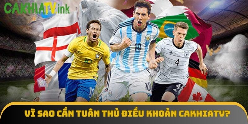 Tầm quan trọng của điều khoản