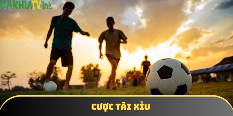 Cược tài xỉu là một hình thức khá đơn giản
