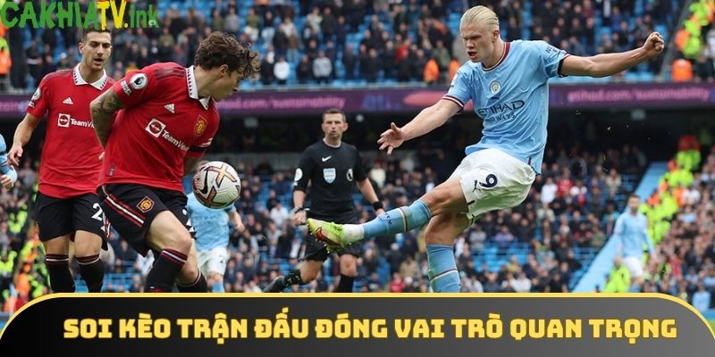 Soi kèo trận đấu đóng vai trò quan trọng