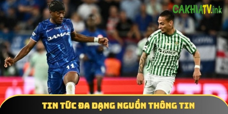 Thông tin của chuyên mục được cập nhật từ nhiều nguồn phong phú
