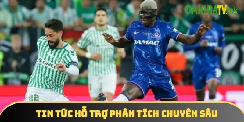 Chuyên mục tại web hỗ trợ các nội dung phân tích sâu về chuyên môn